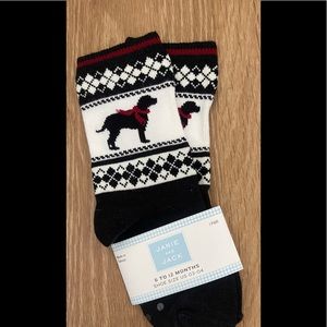 Janie&Jack socks